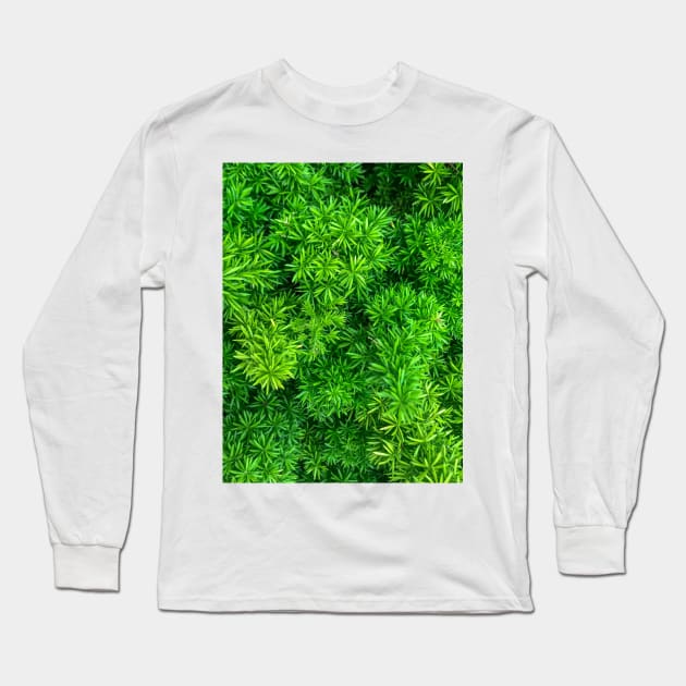 Foxtail fern (Sprenger's asparagus) green plant texture background Long Sleeve T-Shirt by FOGSJ